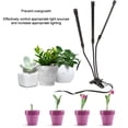 thumbnail image 4 of Adjustable LED Grow Light with Timer, 10 Brightness Levels, USB-Powered for Indoor Plants and Flowers, 4 of 5