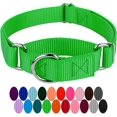 thumbnail image 1 of HSHDLDF Collier pour Chien en Nylon Robuste Vert Lime Chaud Martingale 21 Options de Couleurs Vibrantes (Largeur 1 Pouce, Moyen), 1 of 7