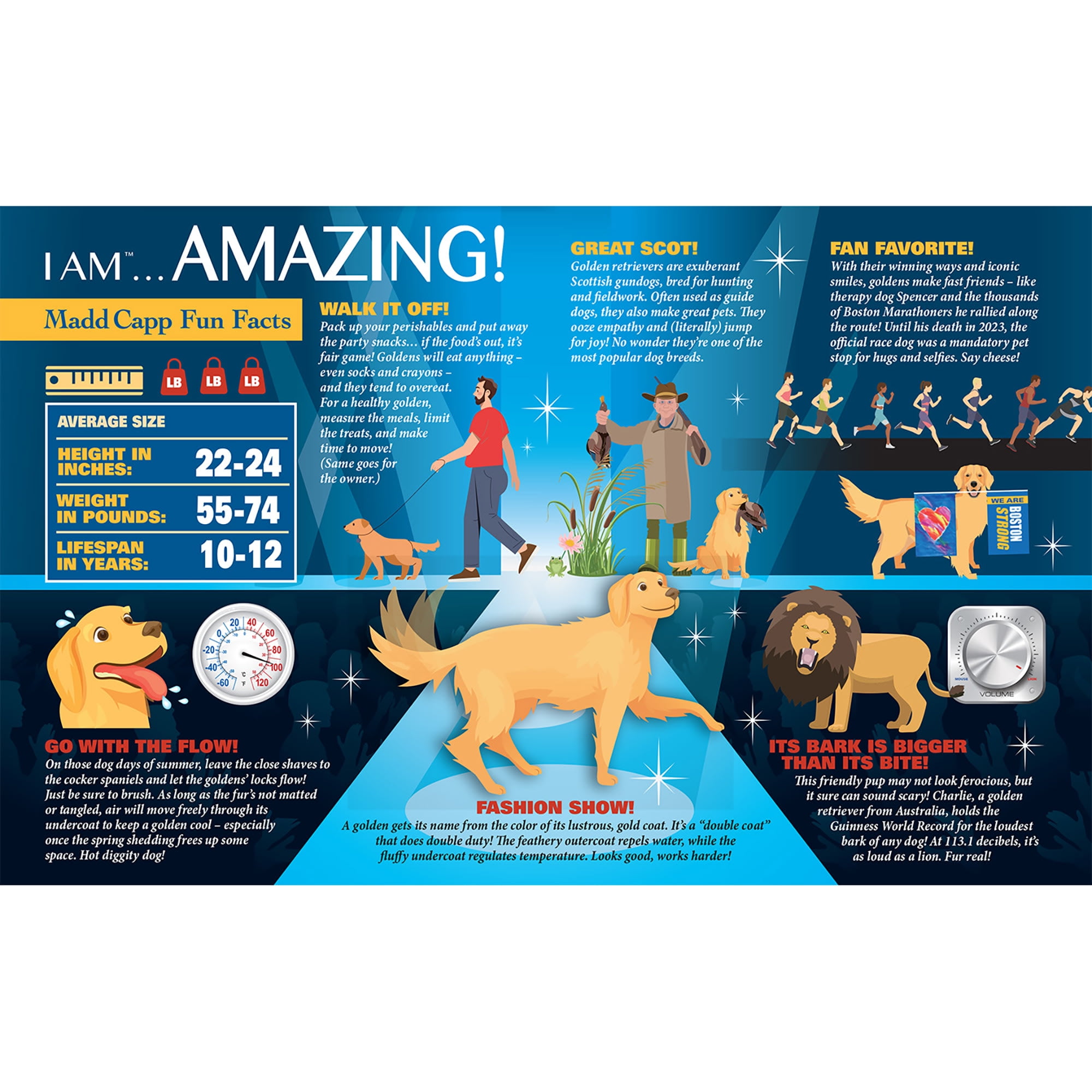 Madd Capp: I Am Golden - 550 Piece Puzzle - Dog Shaped Animal Jigsaw, 24 x 32" Assembled Size, Poster Reference, Educational Fun Fact Booklet
