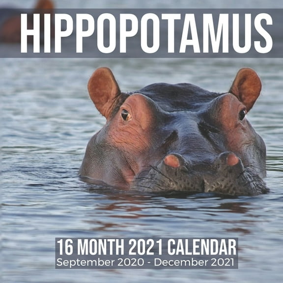 Hippopotamus 16 Month 2021 Calendar September 2020-December 2021 : Hippo Square Photo Book Monthly Pages 8.5 x 8.5 Inch (Paperback)