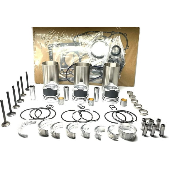 Seapple Overhaul Rebuild Kit Compatible with Shibaura N843 N843L-T N843T N843L Engine