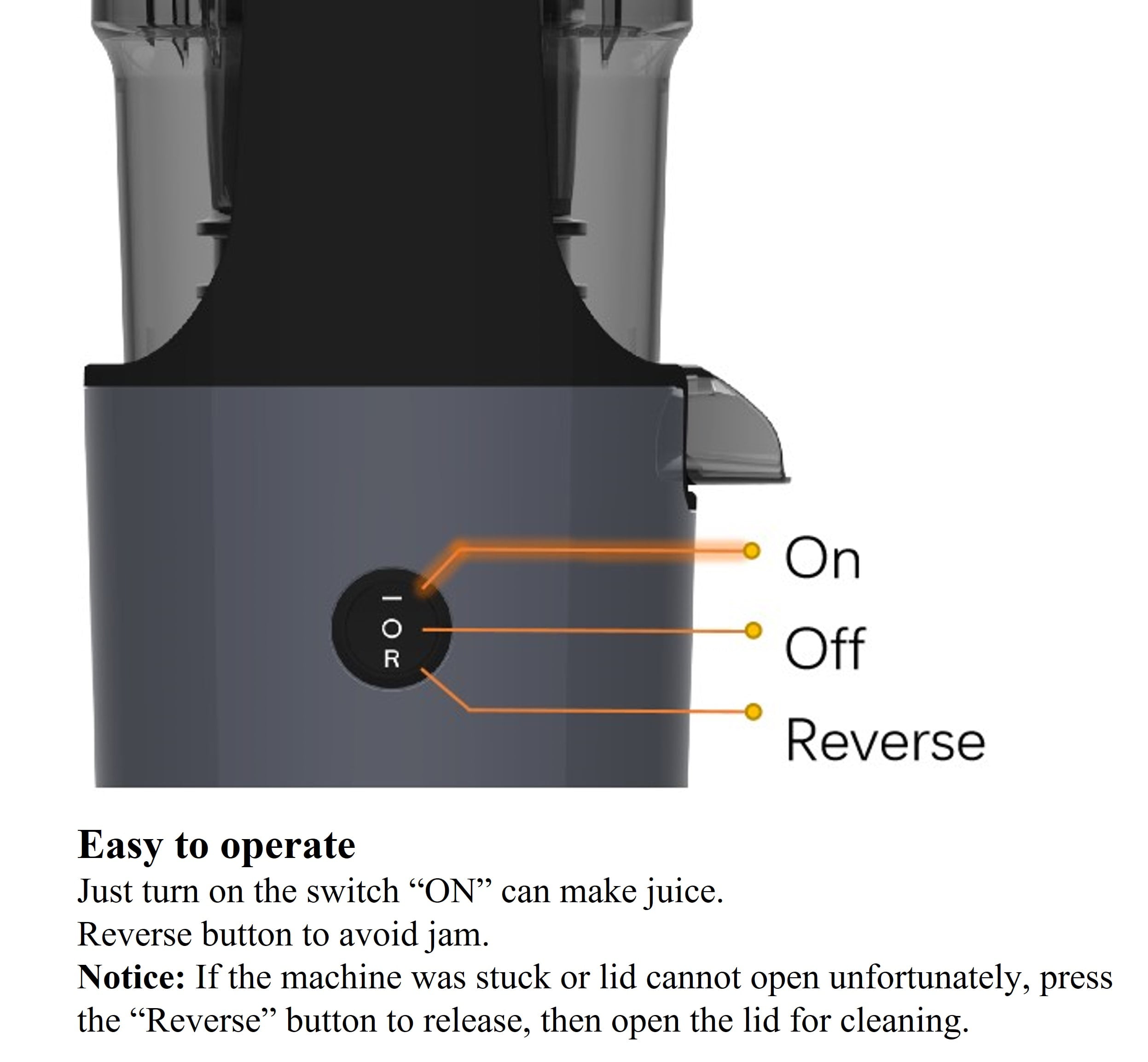 Qvin Compact Slow Masticating Juicer machines 3inch Big Wide Chute, Easy to Clean, BPA Free, Nutritional electrical Cold Press Juicer machine with Brush and 2 Cups