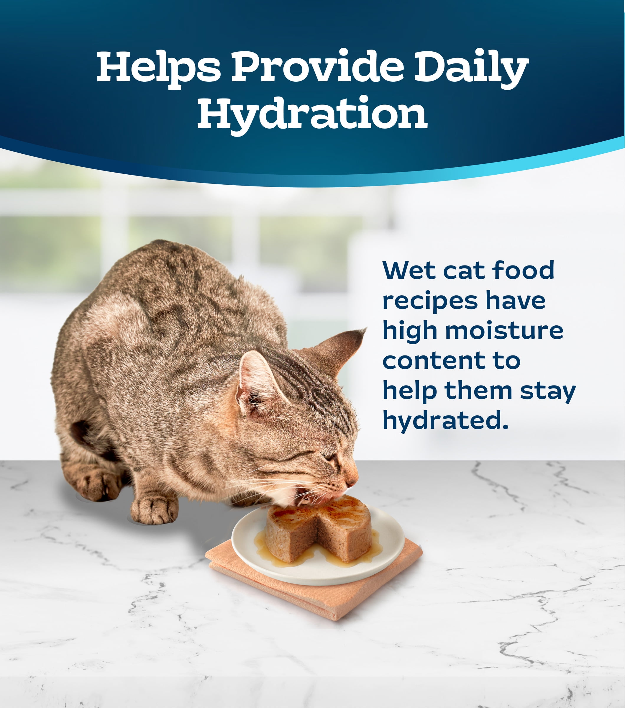 (24 pack) Blue Buffalo Tastefuls Natural Wet Cat Food, Adult, Chicken Paté, 3-oz. Can