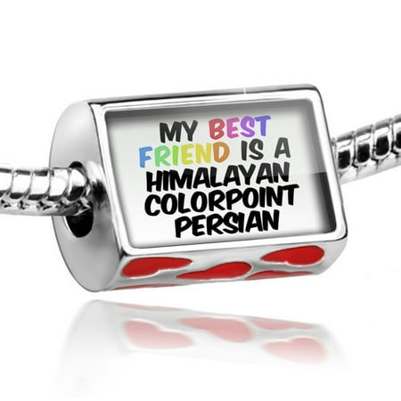 Bead My best Friend a Himalayan Colorpoint Persian Cat from United Kingdom Charm Fits All European