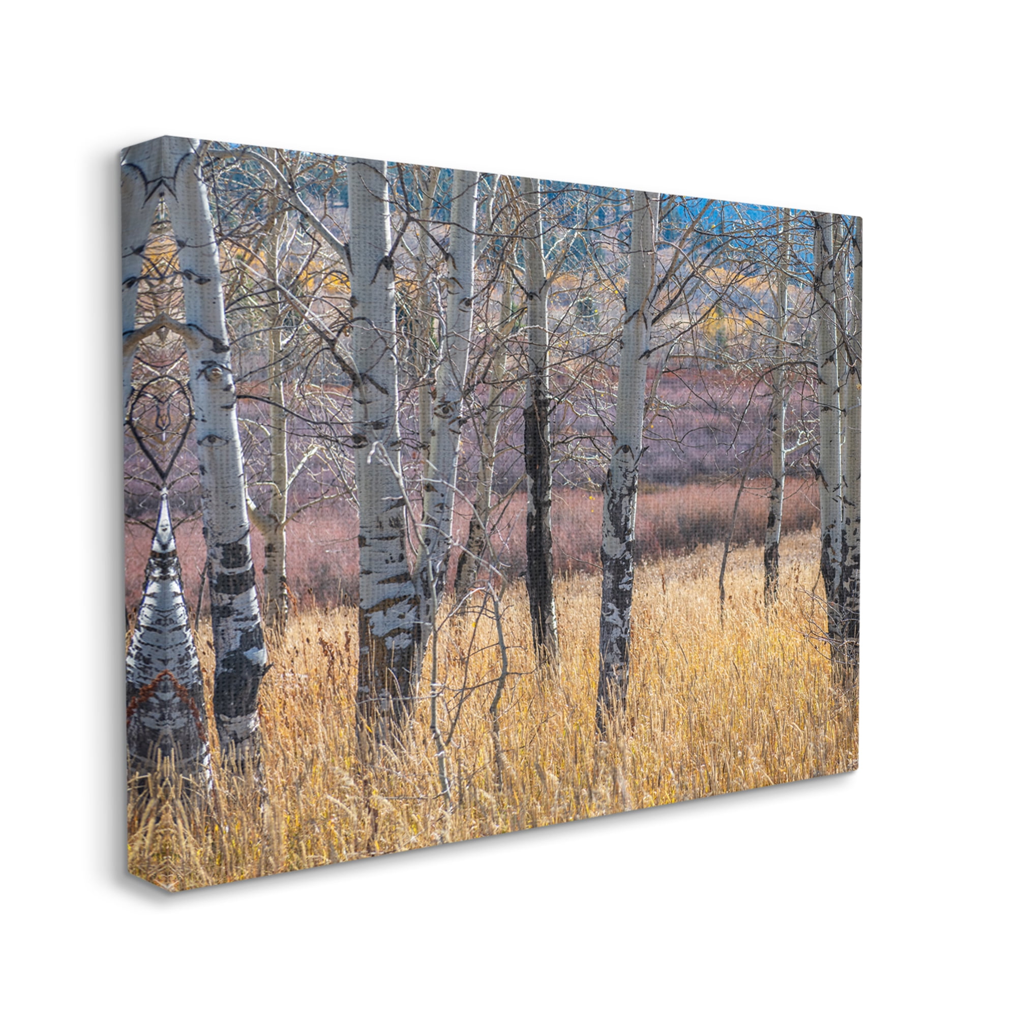 Stupell Industries Birch Trees Photography Nature Photography Gallery Wrapped Canvas Print Wall Art, 20 x 16