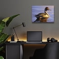 thumbnail image 6 of Epic Art 'Lone Pintail' by Mark Mueller Wildlife Art, Acrylic Glass Wall Art, 16"x12", 6 of 8