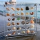 thumbnail image 3 of Seashell Storage Box Display 36/64/100 Rejillas Acrílico Magnético, 3 of 9