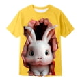 thumbnail image 3 of WOYY Boys Easter Short Sleeve T-Shirt Bunny Print Crew Neck T Shirt Cute Tee, Sizes 1-13, 3 of 3
