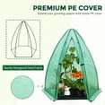 thumbnail image 5 of EAGLE PEAK 63'' x 63'' x 72'' Portable Mini Hexagon Greenhouse with PE Cover, Roll-up Zippered Door & Mesh Windows, Ground Mat, Green, 5 of 9