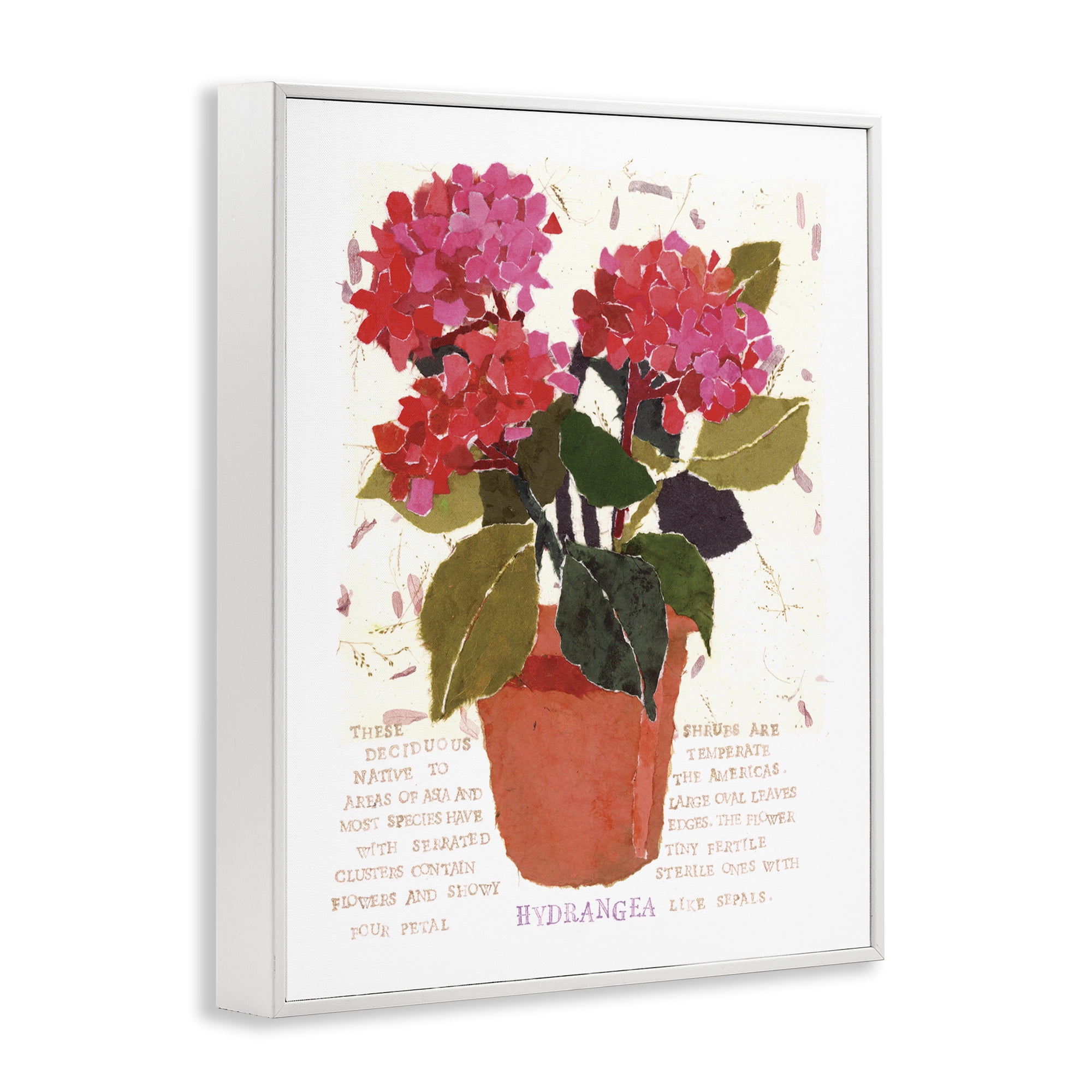 Stupell Industries Bold Red Hydrangea Botanical & Floral Painting White Framed Art Print Wall Art, 24 x 30