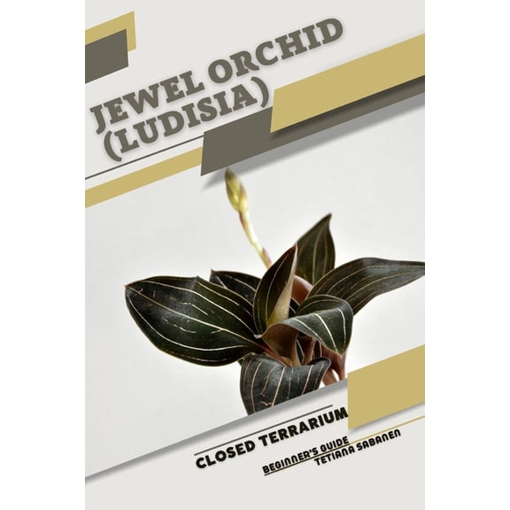 Jewel Orchid (Ludisia): Closed terrarium, Beginner's Guide