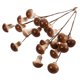 thumbnail image 1 of WASHWEPE 4Ud Pick De Plantas Con Hongos De Resina Para Macetas Y Interior Color Café, 1 of 8