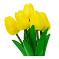 thumbnail image 4 of Planta Artificial Mainstays 27.9 cm Tulipanes Amarillo, 4 of 4