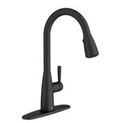 Fairbury 2S Single-Handle Pull-Down Sprayer Kitchen Faucet in Matte Black