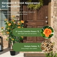 thumbnail image 6 of Topbuy 40” Artificial Camellia Tree in Cement Pot Greenery Potted Plant, 6 of 10