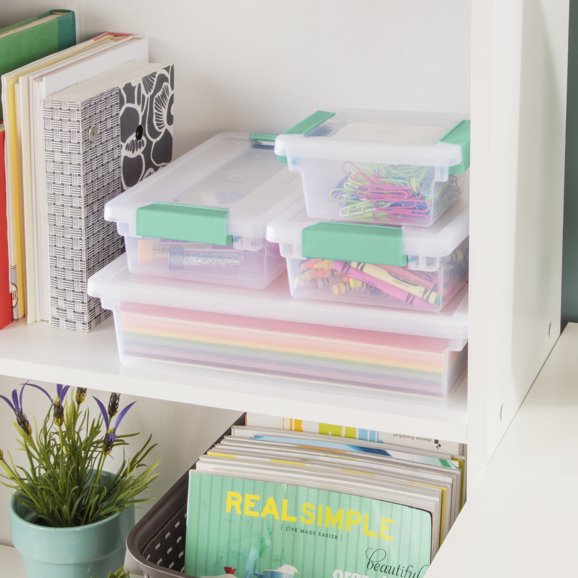 Sterilite Mini Clip Box