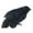 C, variant on Uutvmp Halloween Black Crows Feathered Crows Realistic Looking Halloween Handmade Feathered Crow for Halloween Indoor Outdoors Ravens Birds Decoration