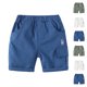 thumbnail image 4 of Odeerbi 2-7 Años Pantalones Cortos de Carga Para Niños Pantalones Cortos de Algodón Pantalones Cortos Deportivos Pantalones de Trabajo de Cintura Elástica, 4 of 4