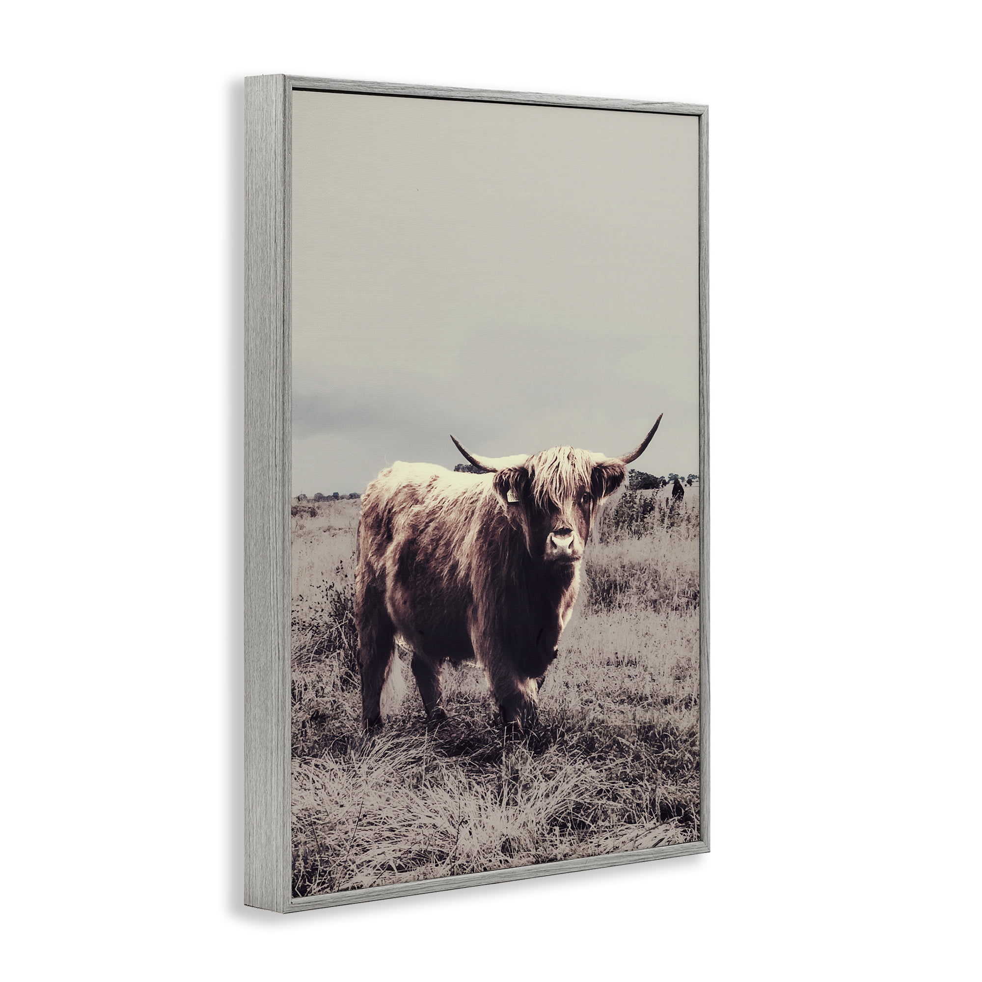 Stupell Industries Horned Cattle in Pasture Gray Framed Giclee Art, design by SD Graphics Studio