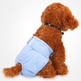 thumbnail image 2 of Ropa Mascotas Perro Pantalones Fisiológicos de Animal Doméstico Complimentos Suave Menstrual de Pañal - Blue L, 2 of 6