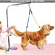 thumbnail image 5 of Correa de aseo para mascotas, cuerda de cuello de mesa de aseo ajustable y soporte de vástago, cinturón para mesa de aseo de mascotas JAMW Sencillez, 5 of 5