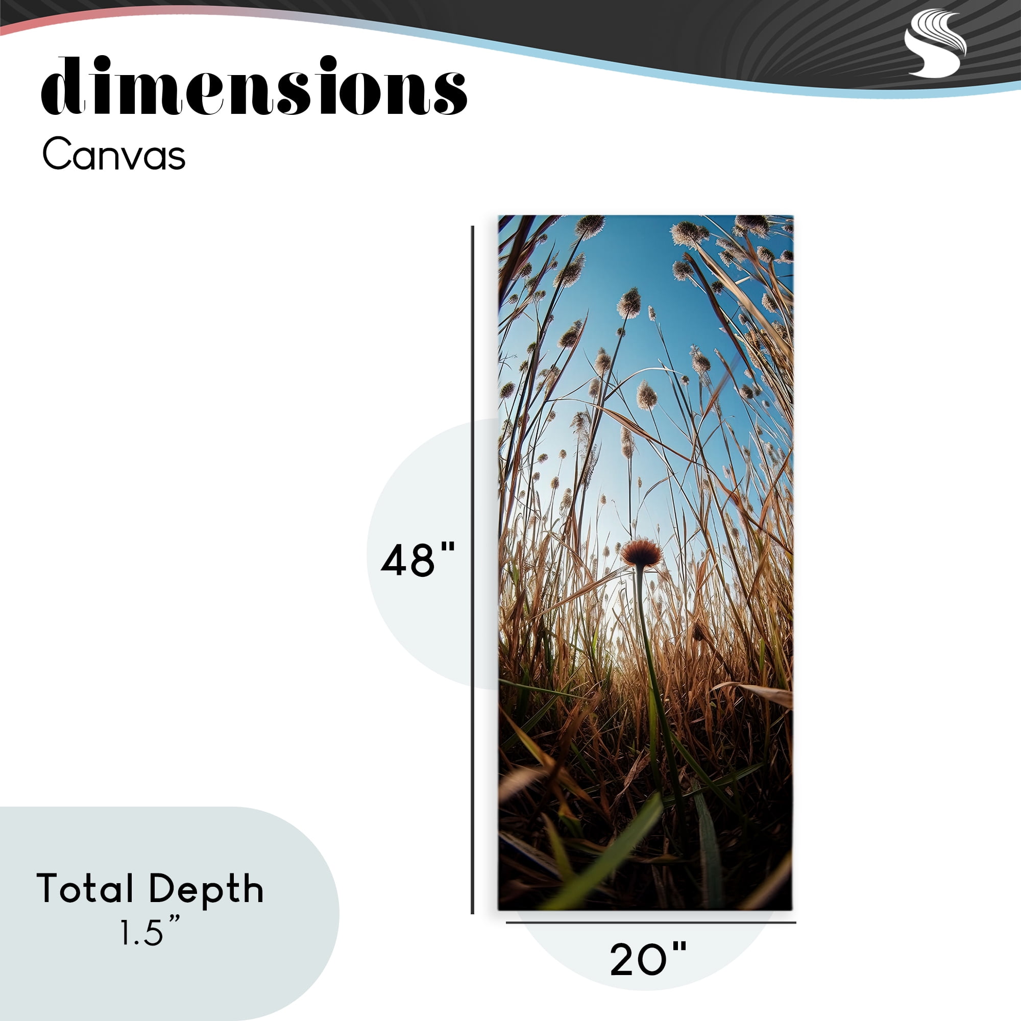 Daydream Botanical Meadow Canvas Wall Art, design by Decent Exposures
