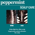 thumbnail image 3 of Difeel Peppermint Scalp Care Shampoo 12 oz., 3 of 10