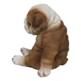 thumbnail image 3 of American Pedigree Dogs Lifelike Bulldog Puppy Dog Laid Back Sitting Figurine, 3 of 9