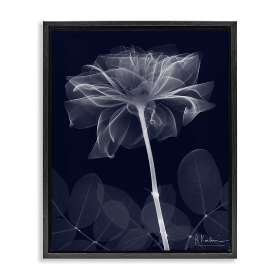 Stupell Industries Contemporary Dark Flower Shape Black Floating Frame Canvas Art, 17 x 21, by Albert Koetsier