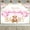 Pink, variant on We Can Bearly Wait Baby Shower Backdrop for Girls Bear Baby Shower Background Pink Balloons Floral Bear Party Baby Shower Decoration Banner Supplies for Photo Booth Props