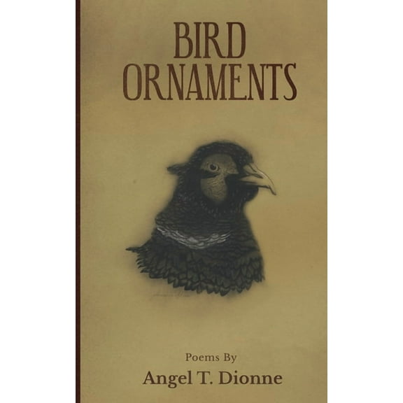 Bird Ornaments, (Paperback)