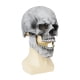 thumbnail image 2 of Máscara de Calavera de Cabeza Completa con Mandíbula Móvil, Máscara Aterradora de Halloween, Máscara de Cabeza Realista, Casco, Máscara de Esqueleto para Hombres y Mujeres, 2 of 4