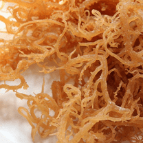 Whole Leaf Irish Sea Moss - 100% Pure Raw Natural WildCrafted Superfood Bulk (5 lb)