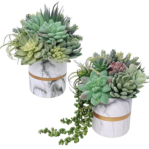 Pack of 14 Artificial Fake Succulent Plants Bulk Unpotted Faux String