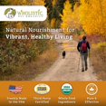 thumbnail image 6 of Wholistic Pet Organics: Multivitamin for Dogs Organic, Homemade Dog Vitamins and Supplements-Dog Multivitamin with Probiotics, Healthy Immune System, Digestive Support (8 Oz, Organic Pumpkin), 6 of 7