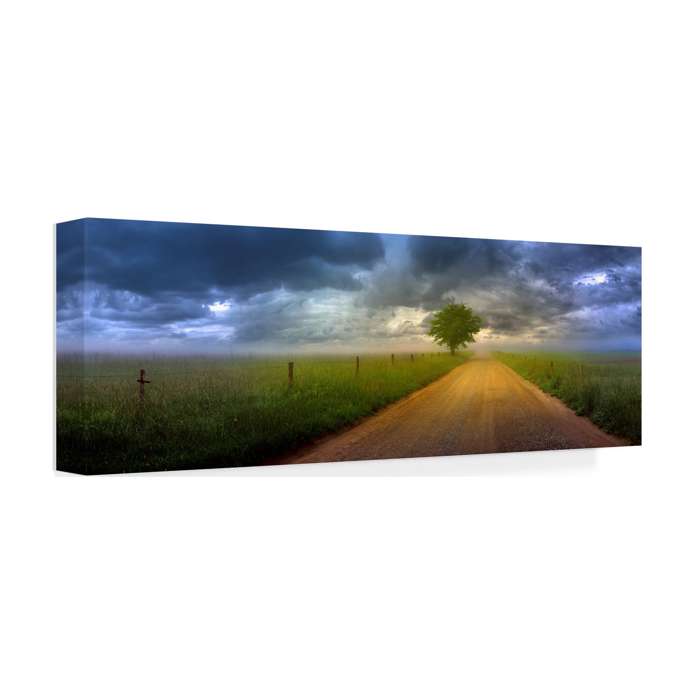 Trademark Fine Art 'The Road Home' Canvas Art by Doug Cavanah