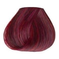 thumbnail image 2 of Adore Plus Hair Color For Gray Hair - 342 Burgundy Red, 2 of 3