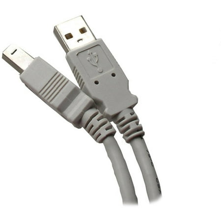 Professional Cable USB 2.0 Printer Cable, 10', Gray