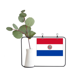 thumbnail image 1 of Paraguay bandera nacional país símbolo Mark patron de América del Sur Marco De Metal Florero De Cerámica Decoración, 1 of 4
