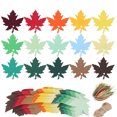 thumbnail image 1 of Bangcool 120PCS Hanging Tag DIY Maple Leaf Gift Tag Paper Tag for Thanksgiving Day, 1 of 7