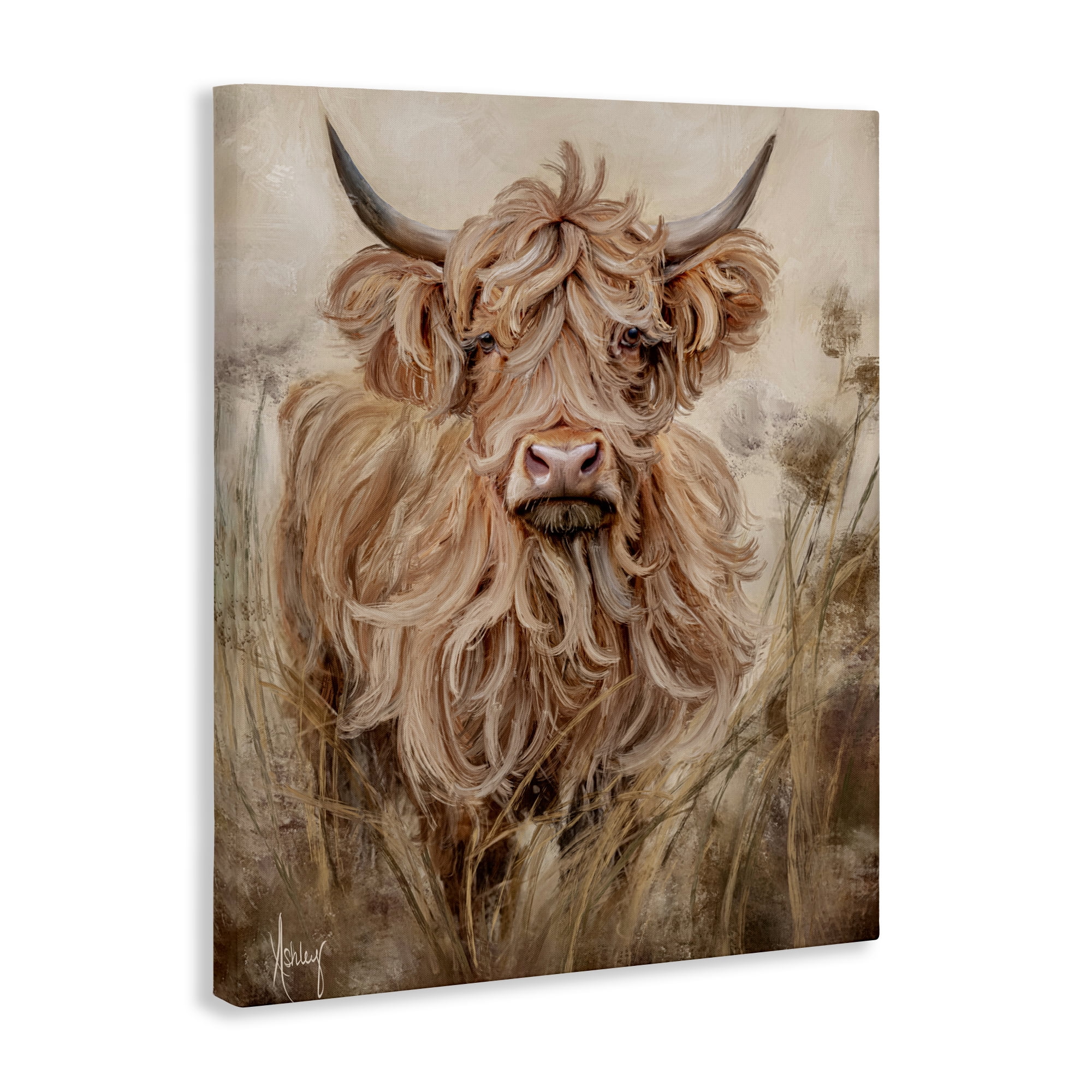 Curly Haired Highland Cattle Canvas Wall Art, design by Ashley Bradley