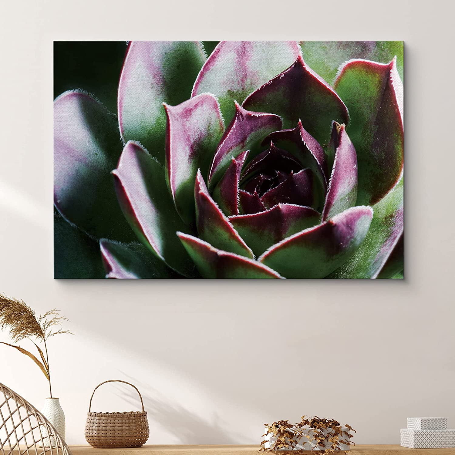 PixonSign Canvas Print Wall Art Blossoming Rose Succulent Floral Wilderness Photography Realism Glam Closeup Colorful Multicolor Ultra for Living Room Bedroom Office - 16 x24