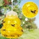 thumbnail image 5 of Paquete de 2 trampas para avispas para colgar al aire libre, mata chaquetas amarillas, trampas para abejas carpinteras para exteriores, trampa para avispas de plástico, mata insectos, amarillo, 5 of 5