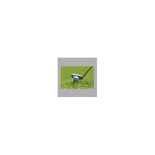 Wallhogs Fairway Drivin' Glossy Wall Mural