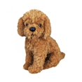 thumbnail image 1 of Perro de peluche realista labradoodle LIUYMXG 30 cm, 1 of 5