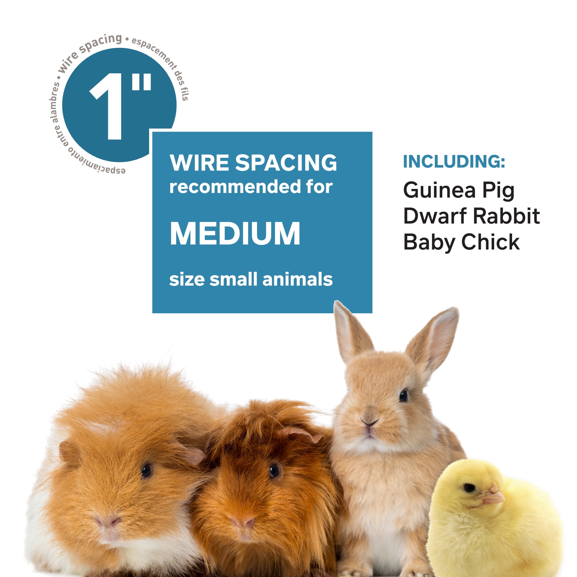 Prevue Pet Products Medium Rectangular Small Animal Rabbit Tubby with Gray Base
