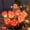 Red, variant on 20 LED Mushroom String Lights - Warm White Indoor & Outdoor Decor