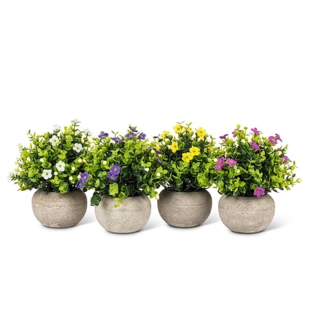 Set of 2 Petite Flowering Plant Pot