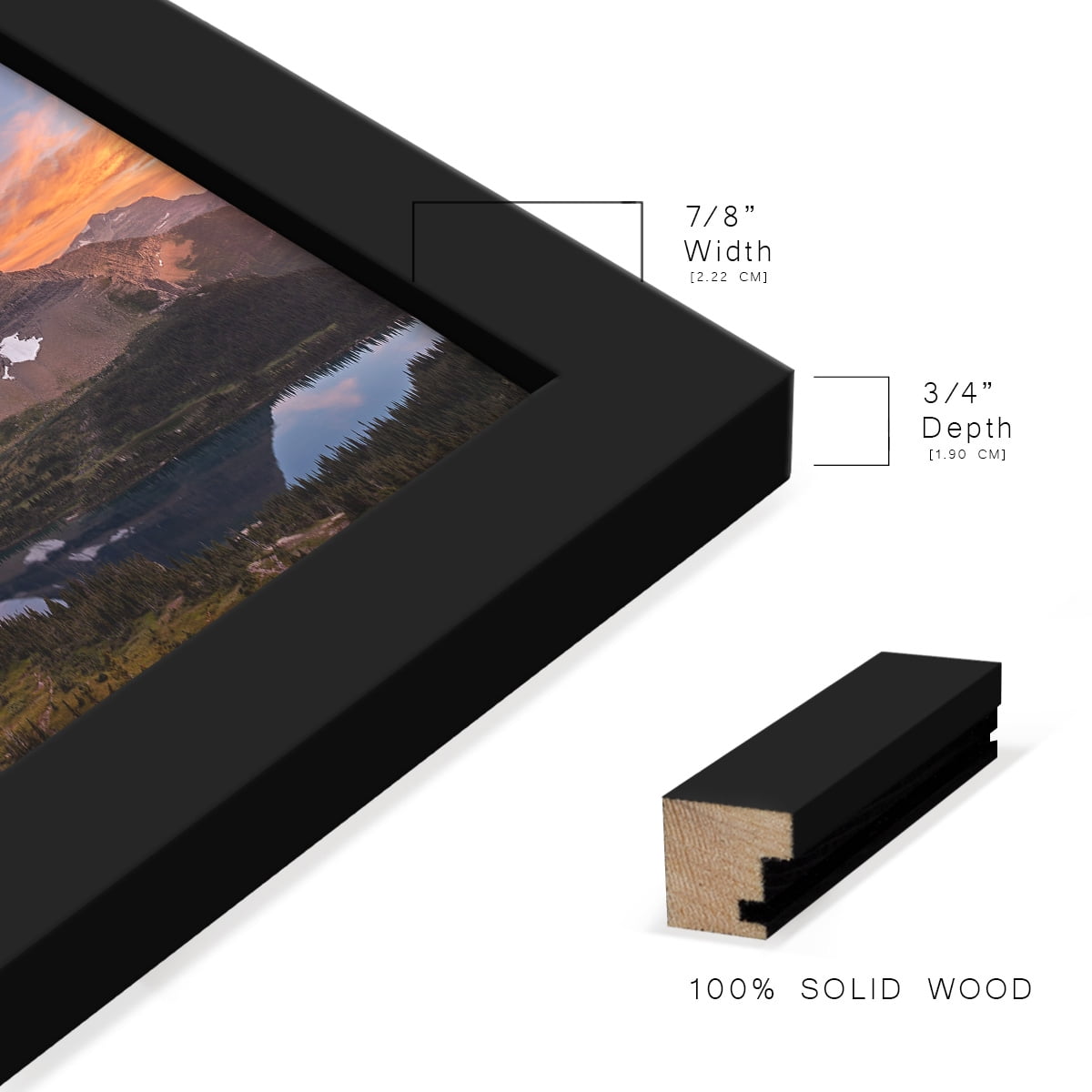 Modern 11 in. x 14 in. Black Picture Frame (Set of 4)