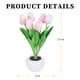 thumbnail image 3 of Luz De Noche De Tulipán Tulip Night Light Lighting Ornaments 300mAh Recargable LED Flower Lamp (Rosa) Likrtyny Para estrenar, 3 of 9